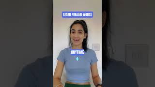 Punjabi Words | English to Punjabi Learning