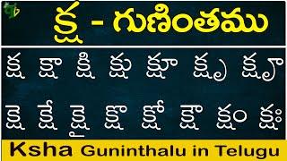 క్ష గుణింతం | Ksha gunintham | How to write Telugu Ksha guninthalu | Telugu varnamala Guninthamulu