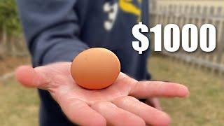 Break the Egg, Win $1,000