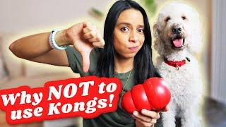 Most DANGEROUS Dog Toy?!  How you SHOULD NEVER use a kong, seriously! 