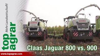 Systemvergleich: Claas Jaguar 800 und 900