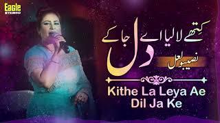 Kithe La Leya Ae Dil Ja Ke | Naseebo Lal | Eagle Stereo | HD Video