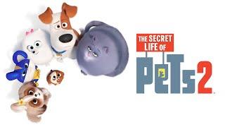 The Secret Life of Pets 2 (2019) Movie | Patton Oswalt & Kevin Hart | Review & Facts