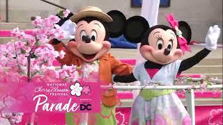 Watch the 2023 National Cherry Blossom Festival Parade presented by Events DC!