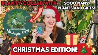 Planty collab with @myjunglestory! Unboxing houseplants and Christmas gifts!