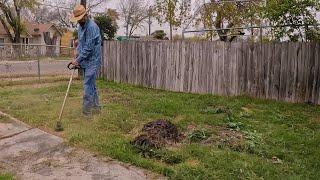 Transforming an Overgrown Lawn – A Heartwarming Act of Kindness!