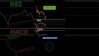 PHÂN KỲ DƯƠNG RSI VÀ MACD LÀ GÌ?