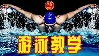 游泳教学 教你学游泳 第二章课前准备 熟悉水性