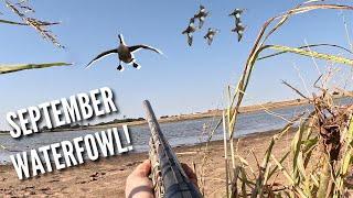 DUCK HUNTING 2024 | September Teal & Geese!