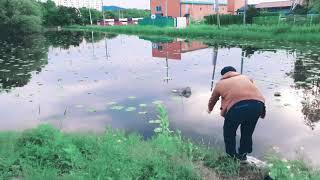 시골 연못에 통발을 던졌더니!