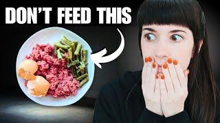 The Scary Side Of Raw Feeding