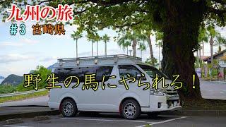 九州車中泊の旅＃3 宮崎県最終日、野生の馬がヤバすぎた！