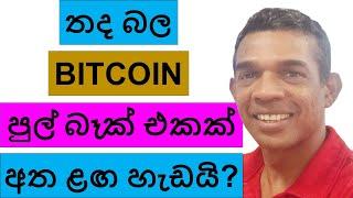 තද බල BITCOIN පුල් බෑක් එකක් අත ළඟ හැඩයි!!! | CRYPTO