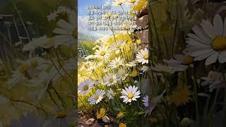 #Shorts - a piece of bread (Hebrews 13:5)) #bible #love #morning star #god #jesus #lord  #명언