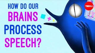 How do our brains process speech? - Gareth Gaskell