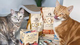 Surprising my cats with lots of food! Wellness Cat Food Review - We tasted the entire range!