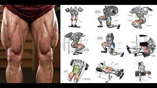 THE MOST EFFECTIVE LEG DAY WORKOUT /PROGRAMME MUSCULATION JAMBES