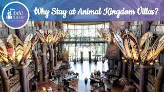 Why You Should Stay At Animal Kingdom Lodge featuring The Campbell Chronicles