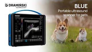 DRAMIŃSKI BLUE. The state-of-the-art portable ultrasound scanner for pets (en)