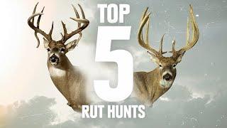 Top 5 Whitetail Rut Hunts! Record Breaking & Double Drops!