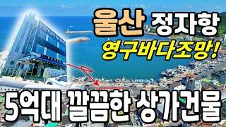 울산 영구바다조망 파노라마뷰~! 국유지주차장까지 5억대상가건물. 경매 아니면 없는 기회! 2023타경6477  [울산상가경매][단독주택경매][바다1선]