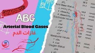 غازات الدم Arterial Blood Gases (ABG)