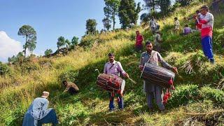 A Fodder Cutting Event in Jammu Hills Area