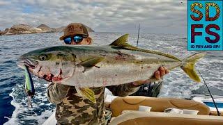 The Best YELLOWTAIL FISHING Lure | Trolling NOMAD DTX MINNOW | Coronado Islands Freedom Boat Club