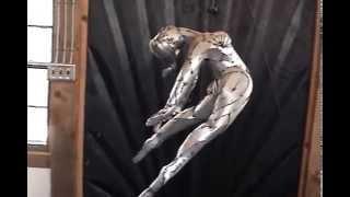 Leaping Dancer    ---    Mark Ricci