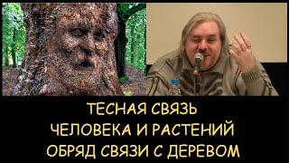  Н.Левашов. Тесная связь человека и растений. Обряд связи с деревом