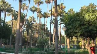 Кипр. Городской парк в Лимассоле Cyprus. City Park in Limassol