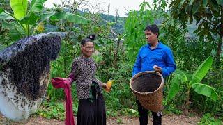 The Process of Harvesting Wild Honey to Give to the Elderly in the Village | Family Farm