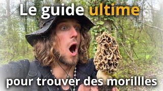 Le guide ULTIME pour trouver des MORILLES à coup sûr en 2023! Secrets de grand-père!