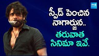 Nagarjuna Upcoming Movies 2024 | Mahesh Babu | Dhanush | @SakshiTVCinema