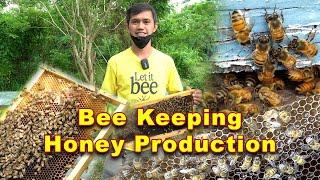 Umasenso dahil sa Bubuyog - Bee Keeping, Honey Production