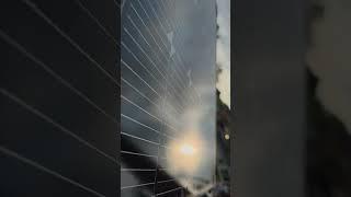 Sun Power #sun #america #solar