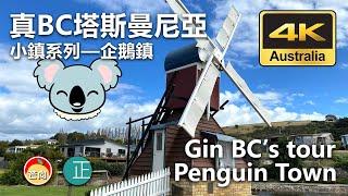 20210320N  真BC 塔斯曼尼亞 小鎮系列——企鵝鎮 Gin BC’s tour—— Penguin Town