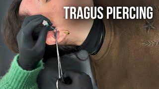 ️ Tragus ear piercing ️ share your experience in the comments #tragus #traguspiercing #piercing