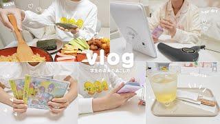 productive weekend vlog | Study, Hand-rolled Sushi, Brulee Ice Cream