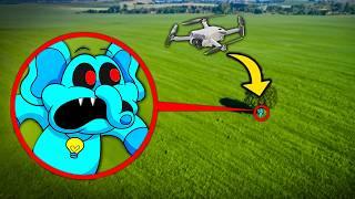 Meu drone pegou Bubba Bubbaphant e Catnap (Poppy Playtime 3)