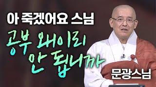 아 죽겠어요 스님! 공부 왜 이리 안 됩니까? 문광스님 曰 "마구니가 와서 그럽디다"│'문광스님' 편 [명법문만 모았다! 명중명]#문광스님 #참선 #불교