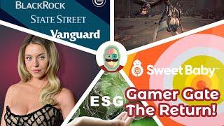 What they aren't telling you about Gamer Gate 2, Sweet Baby Inc, DEI and ESG