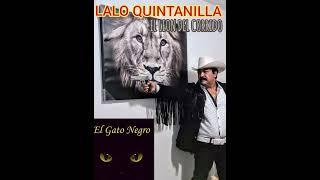 LALO QUINTANILLA EL GATO NEGRO