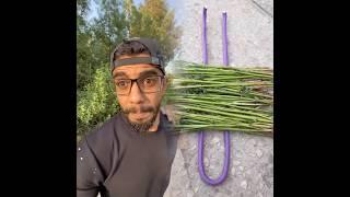 Middle East vs Asia Culture Shock! Prank Gone Wrong with @mohammed..moussalli 