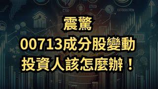 【00713ETF新成分股】追漲殺跌還是穩健選股？投資人必看！