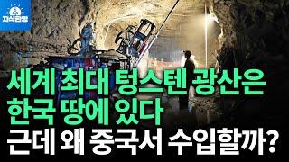 세계 최대 텅스텐 광산은 한국땅에 있다... 근데 왜 중국서 전량 수입할까? (박종훈의 지식한방)