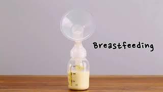 How to Use Papablic Duckbill Valves Replacement for Spectra and Medela Breast Pump?