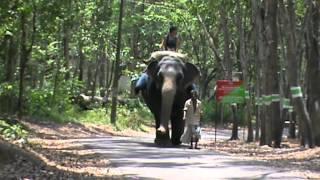 Elephant Riding-Kerala Forests&Wildlife Department Elephant Rehabilation Centre, Kappukadu