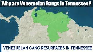 Why are Venezuelan Gangs All Over in Tennessee?