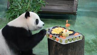 Yuan Bao, the second panda ever born in Taiwan, celebrates her fourth birthday